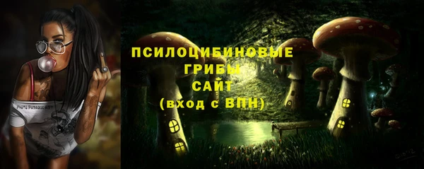 спиды Алзамай