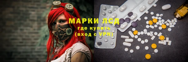 спиды Алзамай