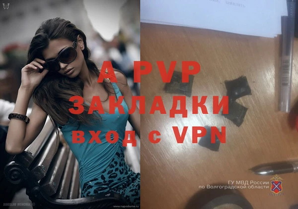 трава Козельск