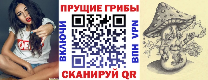 Галлюциногенные грибы прущие грибы  гидра ссылка  Талица 