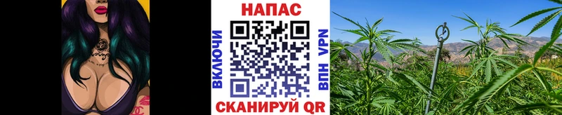 Каннабис Ganja  Талица 